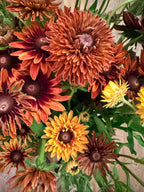 Rudbeckia - Mixed Bunch - Bundle of 10 Stems or a Bucket of 50