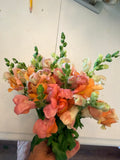 Snapdragon - Bundle of 10 stems - Salmon