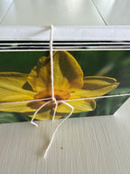 Ingstad Farms Flower Greeting Card Set