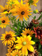 Rudbeckia - Mixed Bunch - Bundle of 10 Stems or a Bucket of 50
