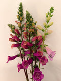 Foxglove - Camelot Series - Bundle of 10 Stems