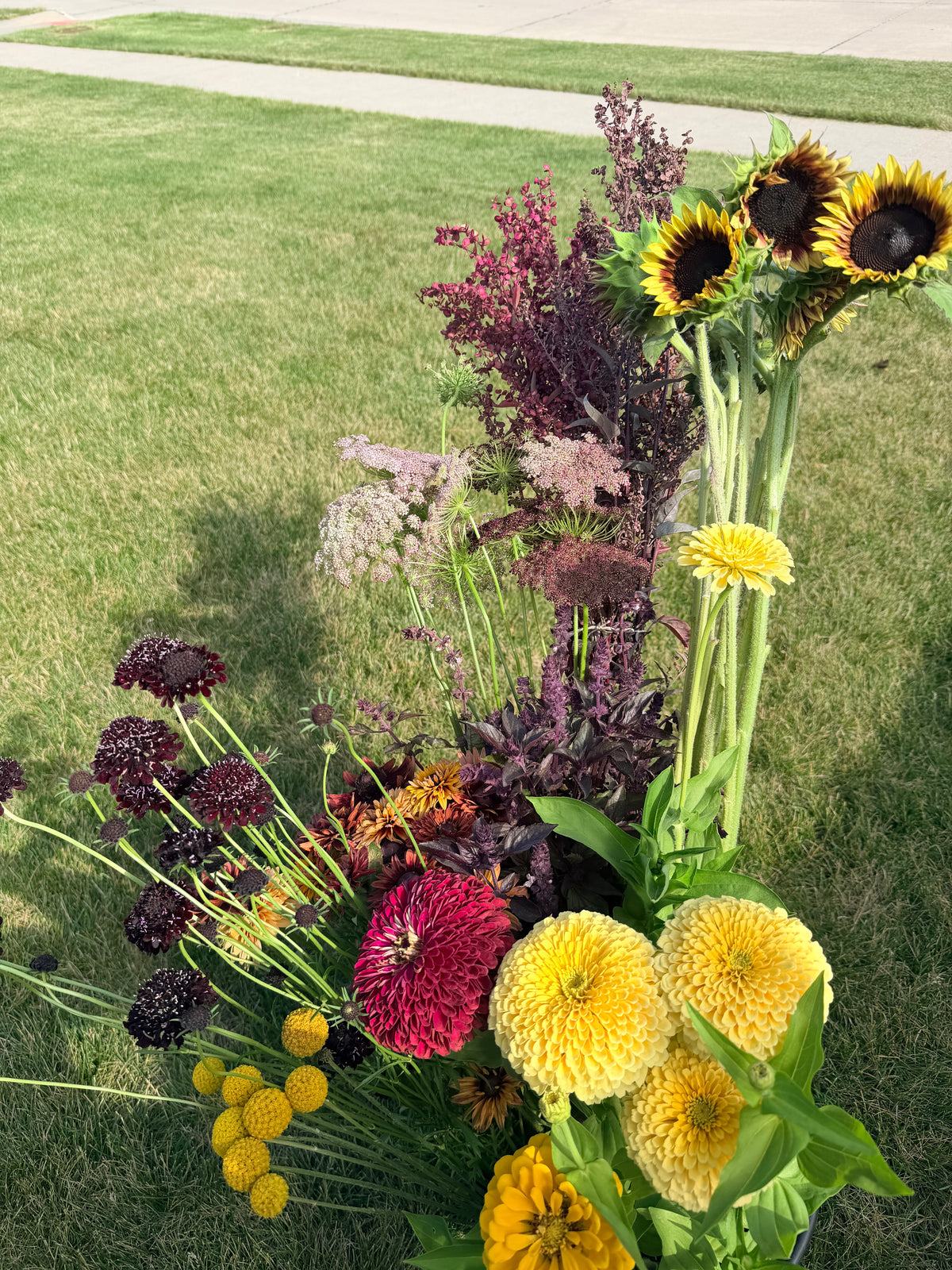 Farmer's Bucket - 50 or 100 Stems