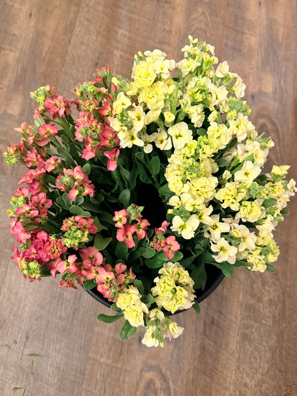 Special Event Buckets - 50 or 100 Stems