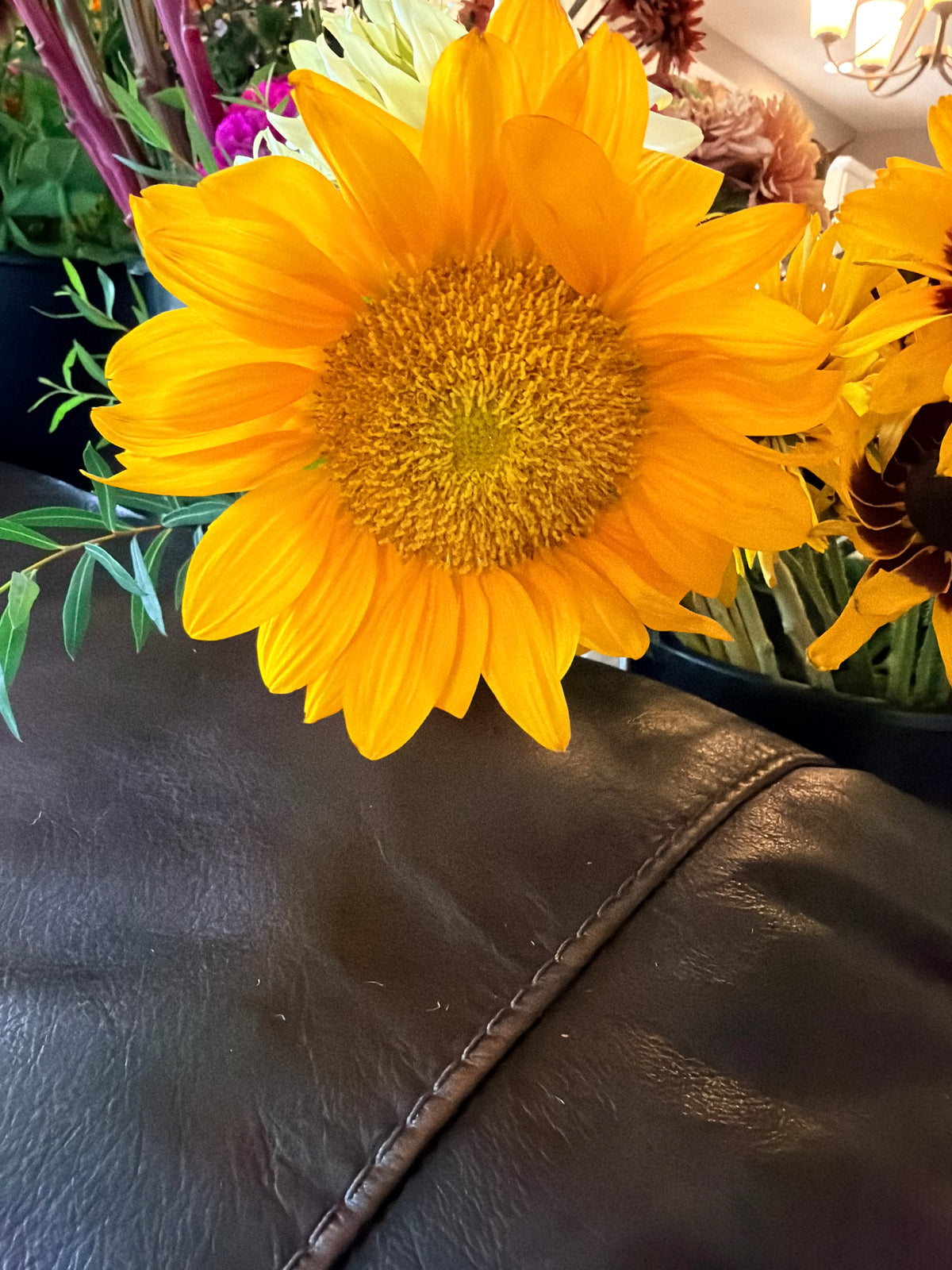 Sunflower (ProCut) - Gold Lite - Bundle of 5 and 10 Stems