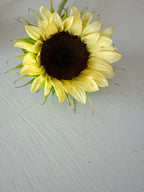 Sunflower (ProCut) - White Nite - Bundle of 5 and 10 Stems