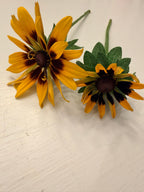 Rudbeckia - Denver Daisy - Bundle of 10 Stems
