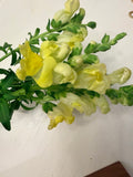 Snapdragon - Bundle of 5 or 10 Stems - Yellow