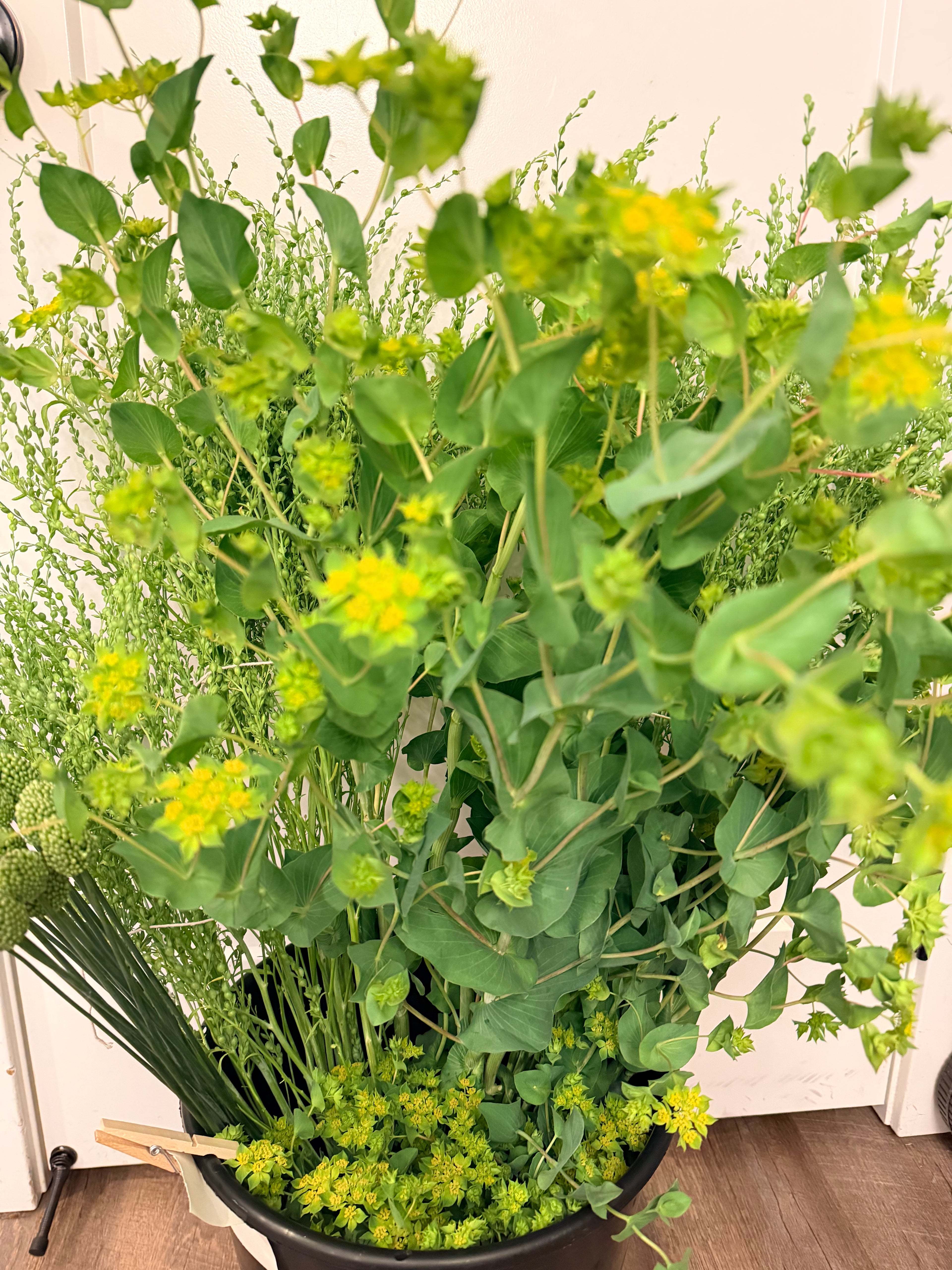 Special Event Buckets - 50 or 100 Stems
