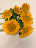 Sunflower (ProCut) - Gold Lite - Bundle of 5 and 10 Stems