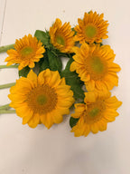 Sunflower (ProCut) - Gold Lite - Bundle of 5 and 10 Stems