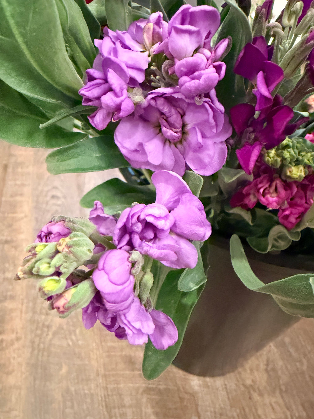 Stock - Bundle of 5 Stems - Purple