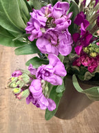 Stock - Bundle of 5 Stems - Purple
