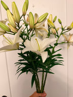 Lily - Bundle of 5 and 10 Stems
