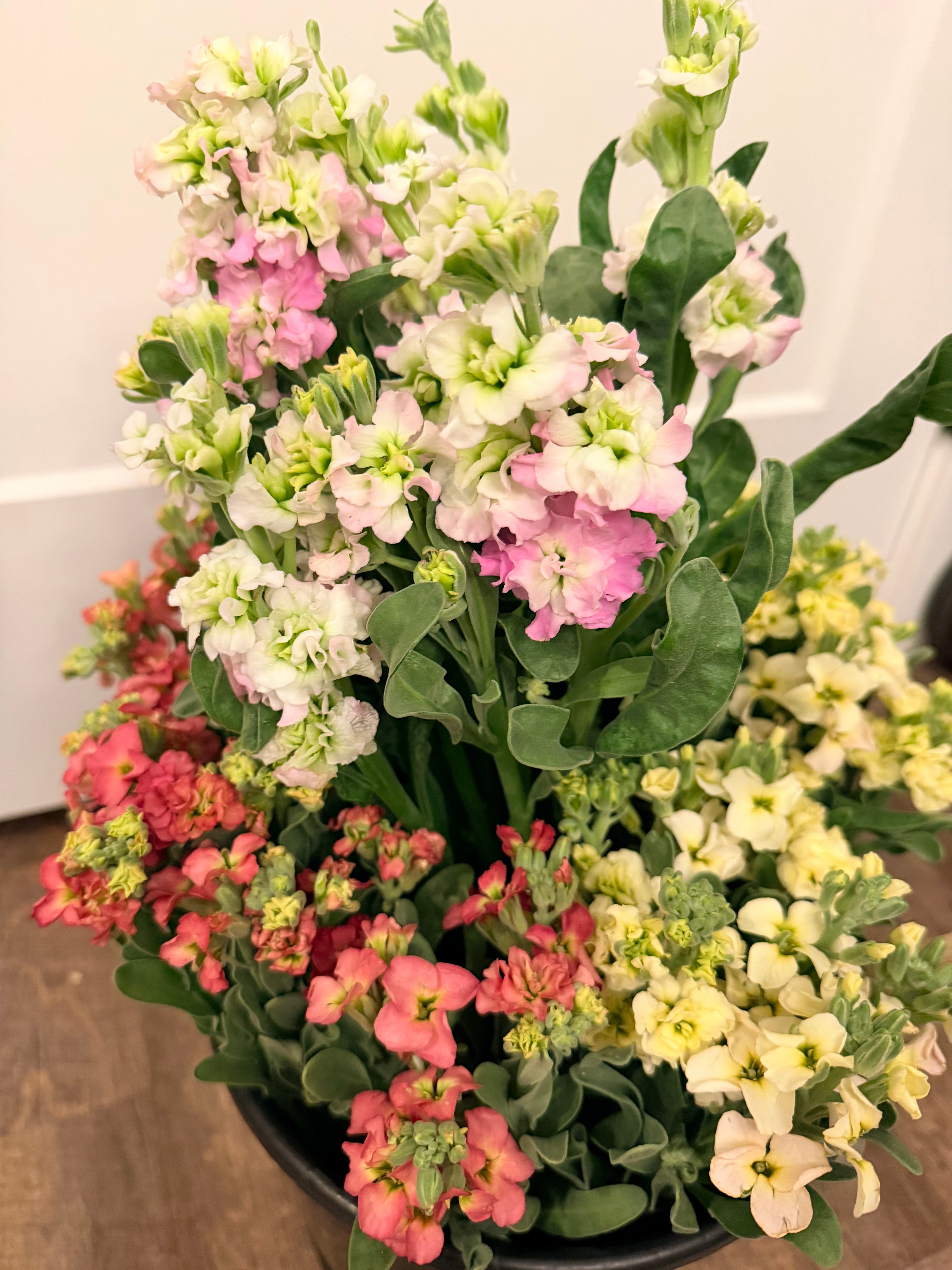 Special Event Buckets - 50 or 100 Stems
