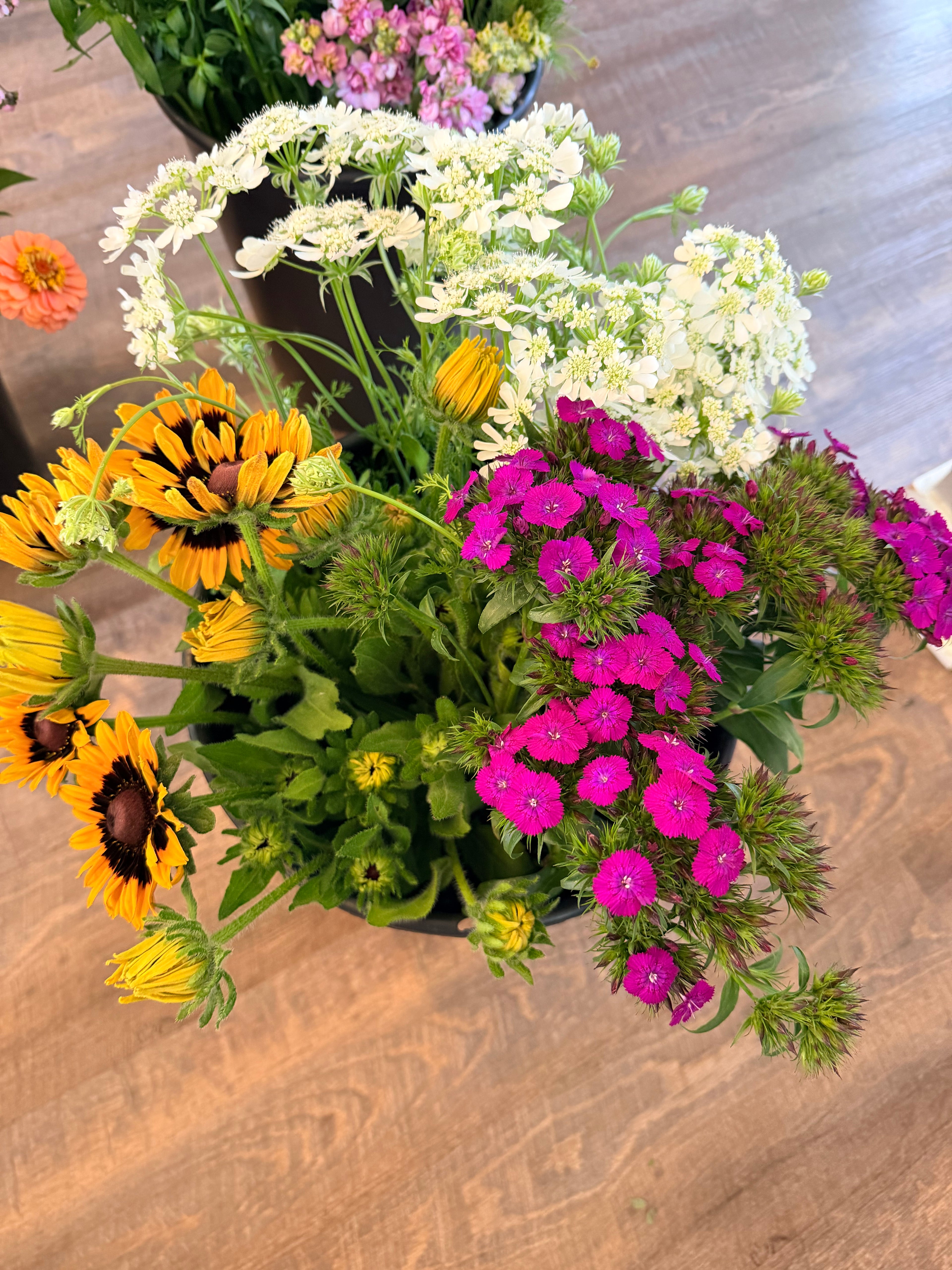 Farmer's Bucket - 50 or 100 Stems