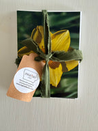 Ingstad Farms Flower Greeting Card Set