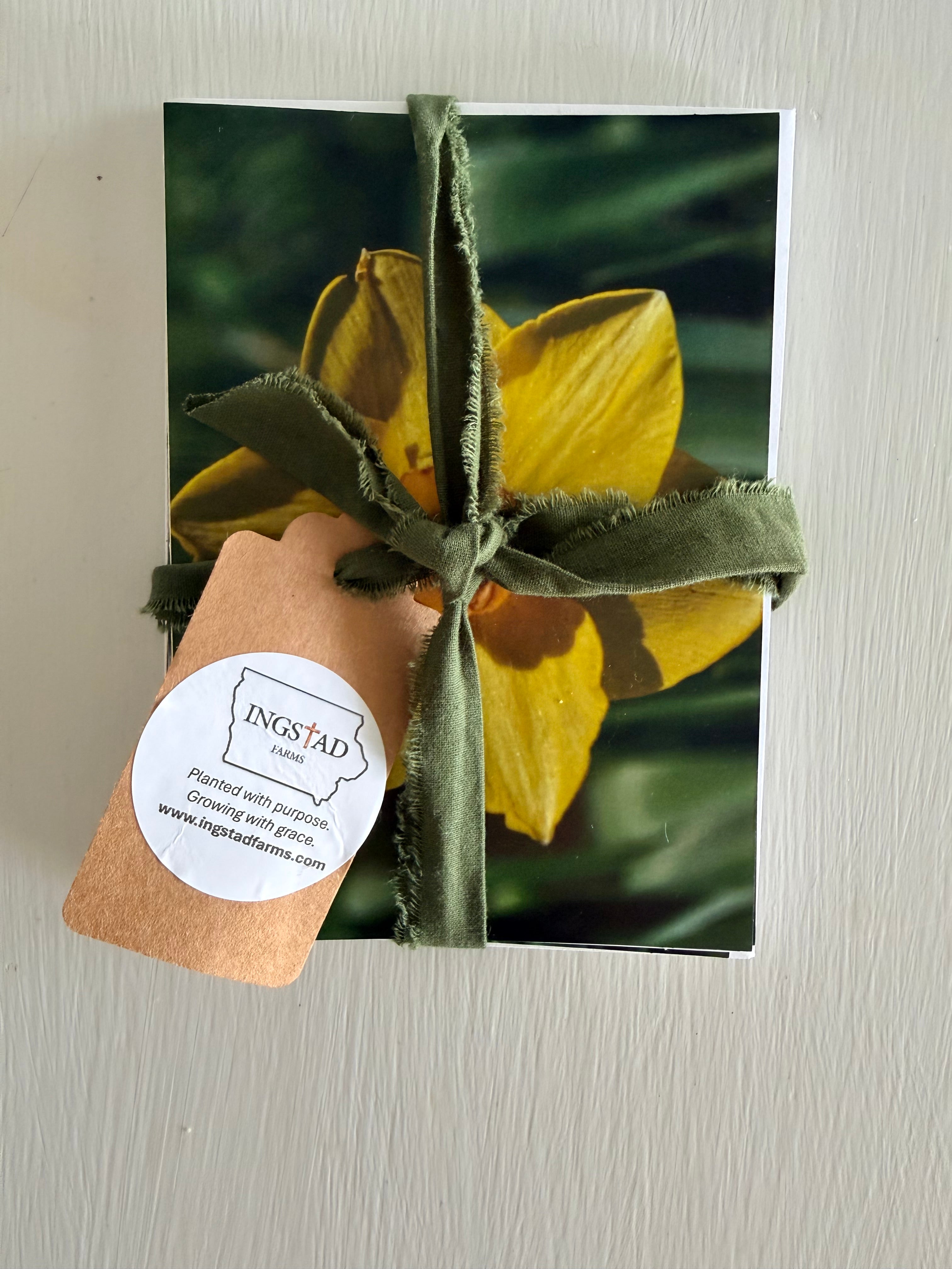 Ingstad Farms Flower Greeting Card Set