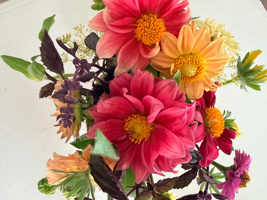 Dahlias - Mixed Bunch - Bundle of 5 and 10 Stems