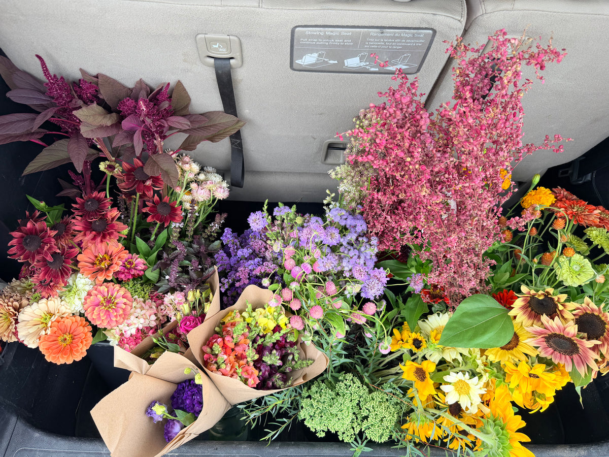 Farmer's Bucket - 50 or 100 Stems