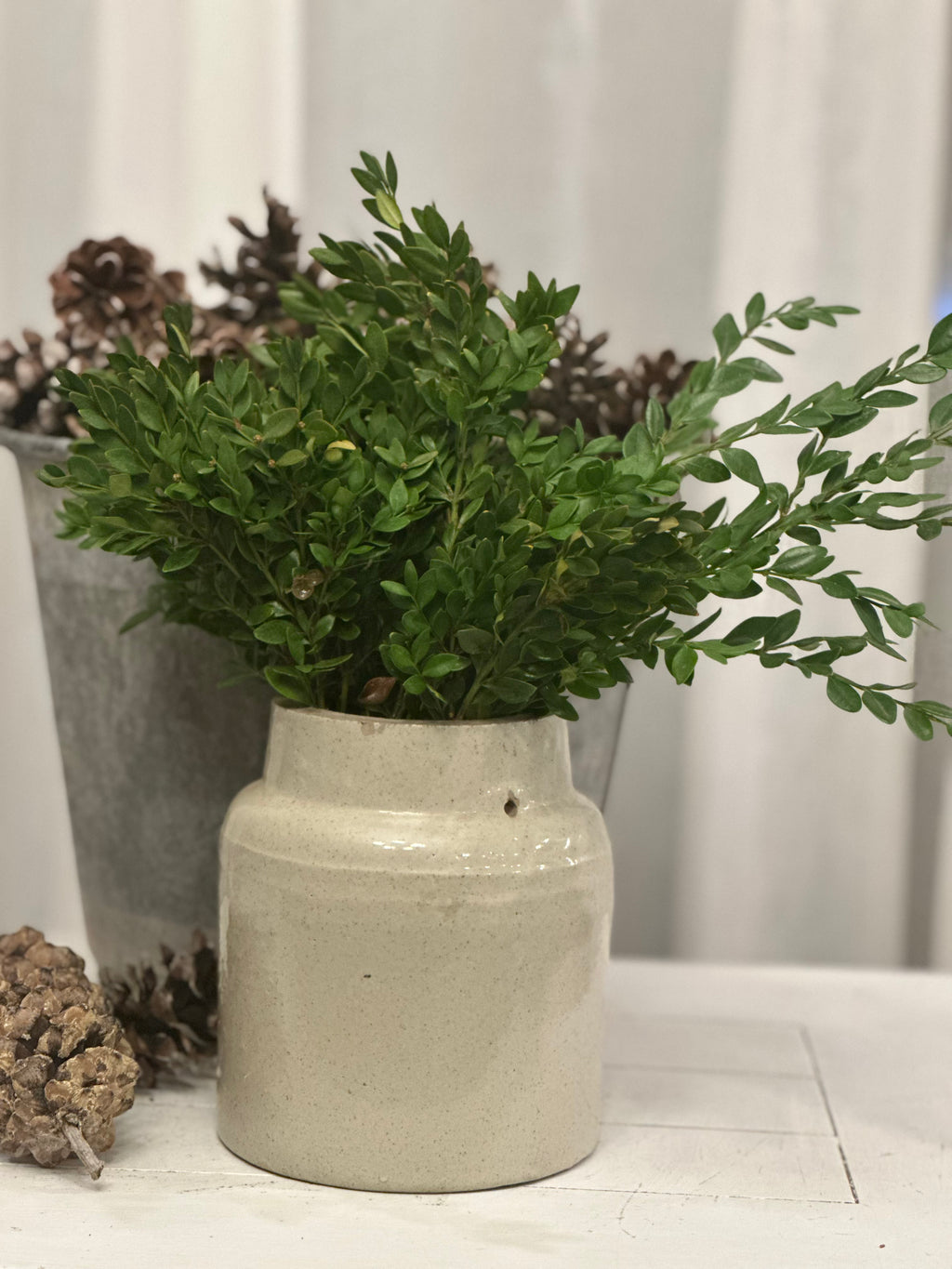 Winter Greens and Pinecones - Bundle of 5 and 10 Stems - Coming Soon!