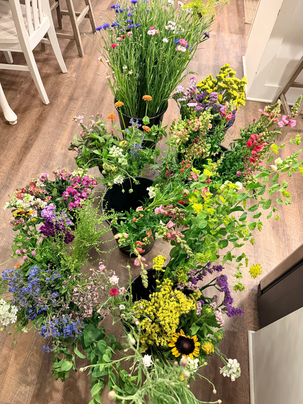 Farmer's Bucket - 50 or 100 Stems