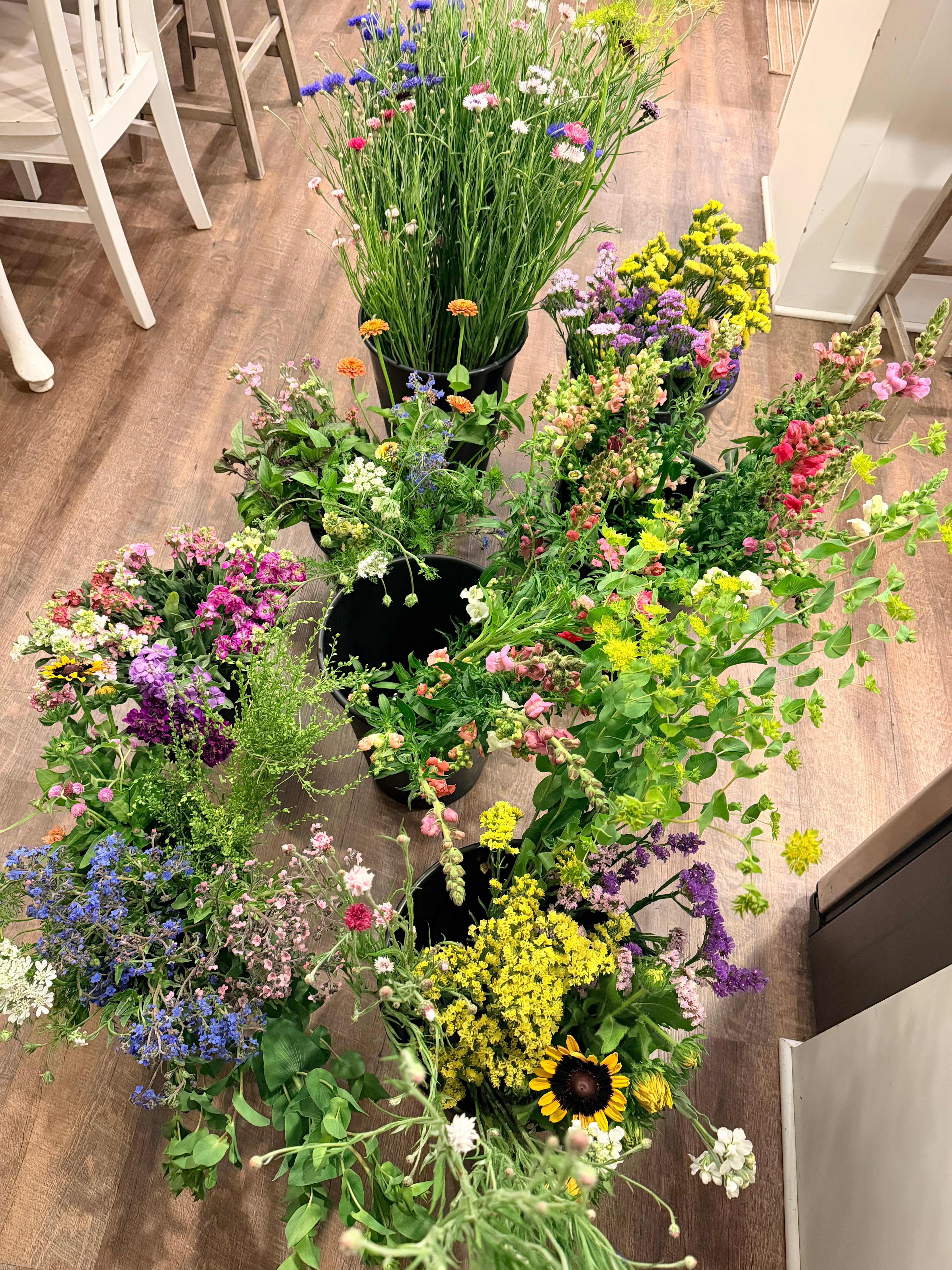 Farmer's Bucket - 50 or 100 Stems