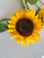Sunflower (ProCut) - Mixed Bunch - Bundle of 5 and 10 Stems