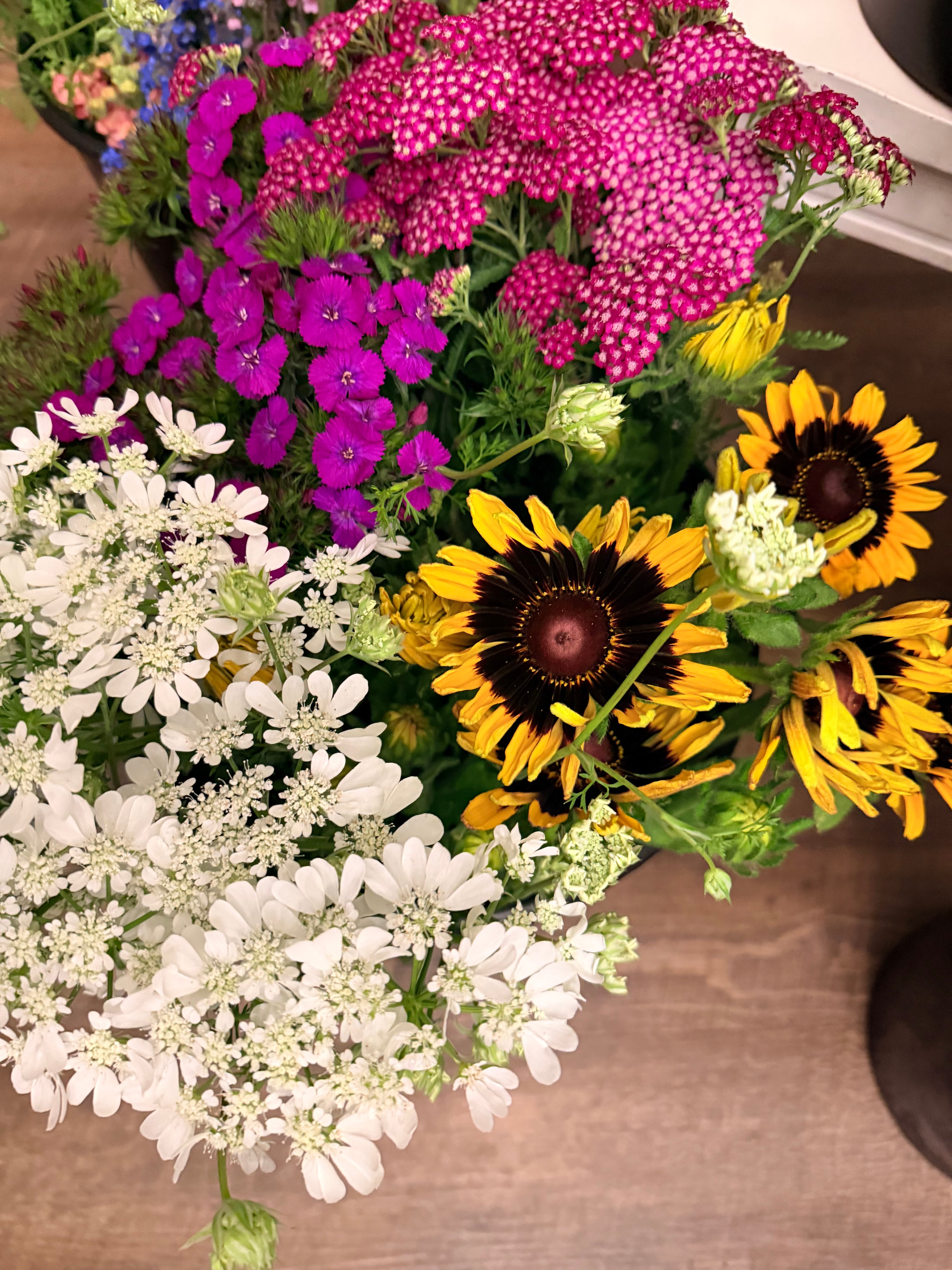 Farmer's Bucket - 50 or 100 Stems