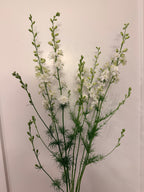 Larkspur - QIS White - Bundle of 10 Stems