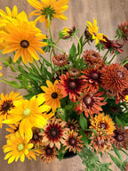 Rudbeckia - Mixed Bunch - Bundle of 10 Stems or a Bucket of 50