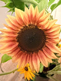 Sunflower (ProCut) - Plum - Bundle of 5 and 10 Stems