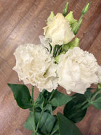 Lisianthus - White - Bundle of 10