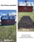 Cut Flower Garden CSA – 40 Plant Starts
