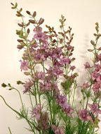 Larkspur - Misty Lavender - Bundle of 10 Stems