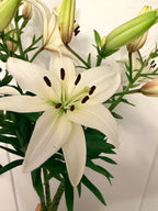 Lily - Bundle of 5 and 10 Stems