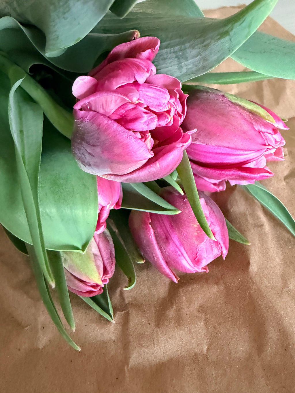 Tulip Bouquet