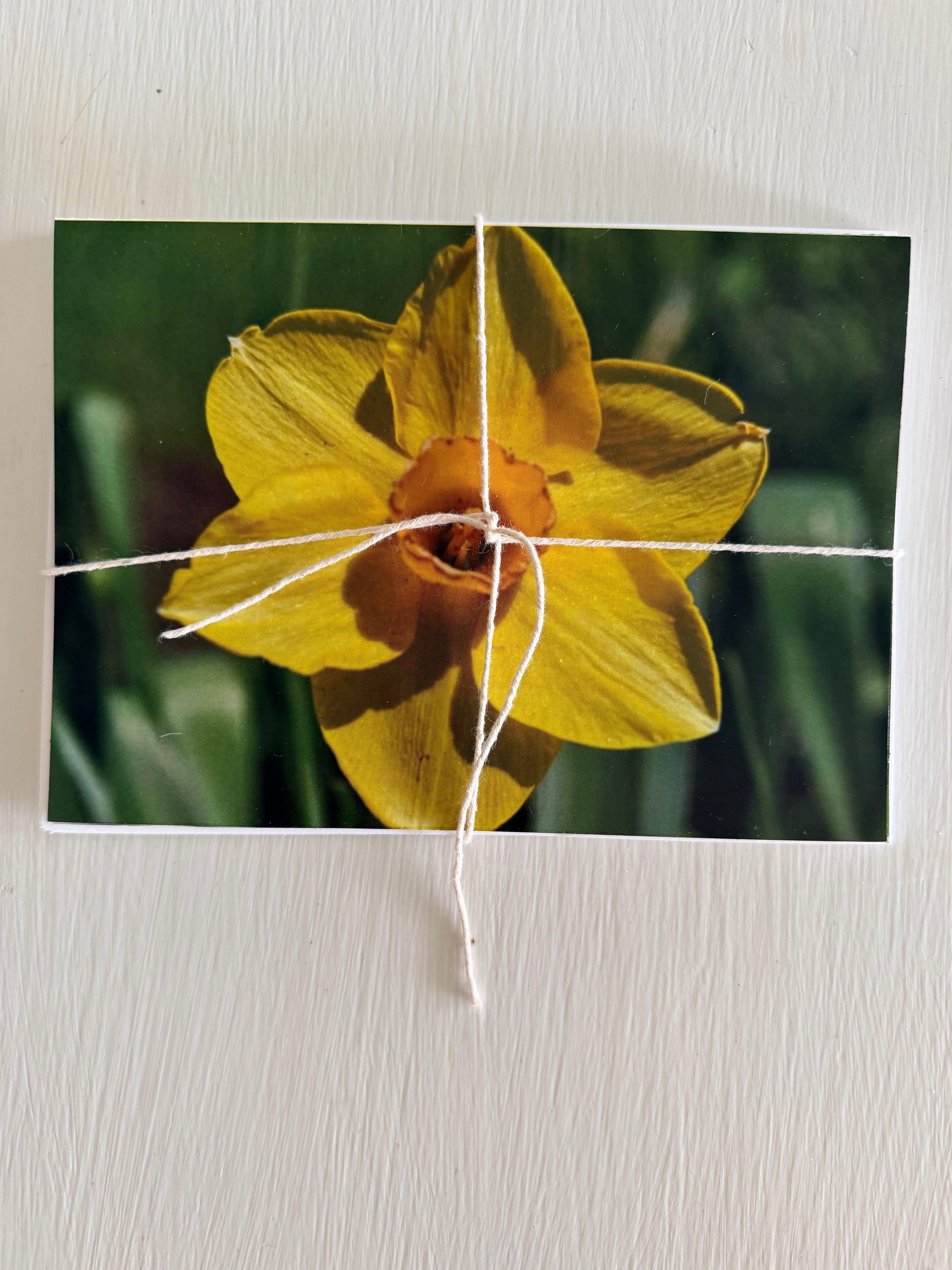 Ingstad Farms Flower Greeting Card Set