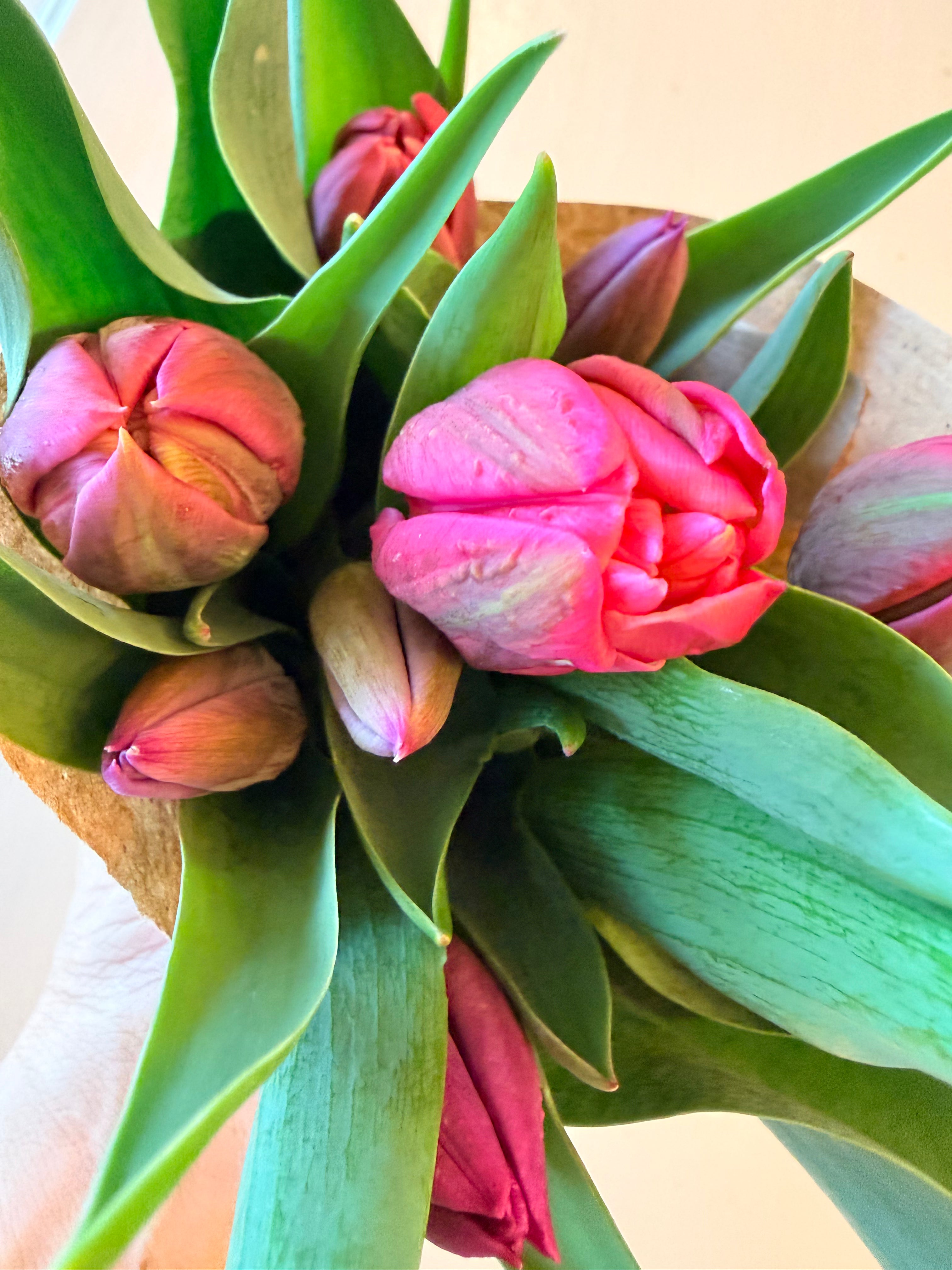Tulip Bouquet