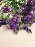 Statice - Bundle of 10 Stems - Blue