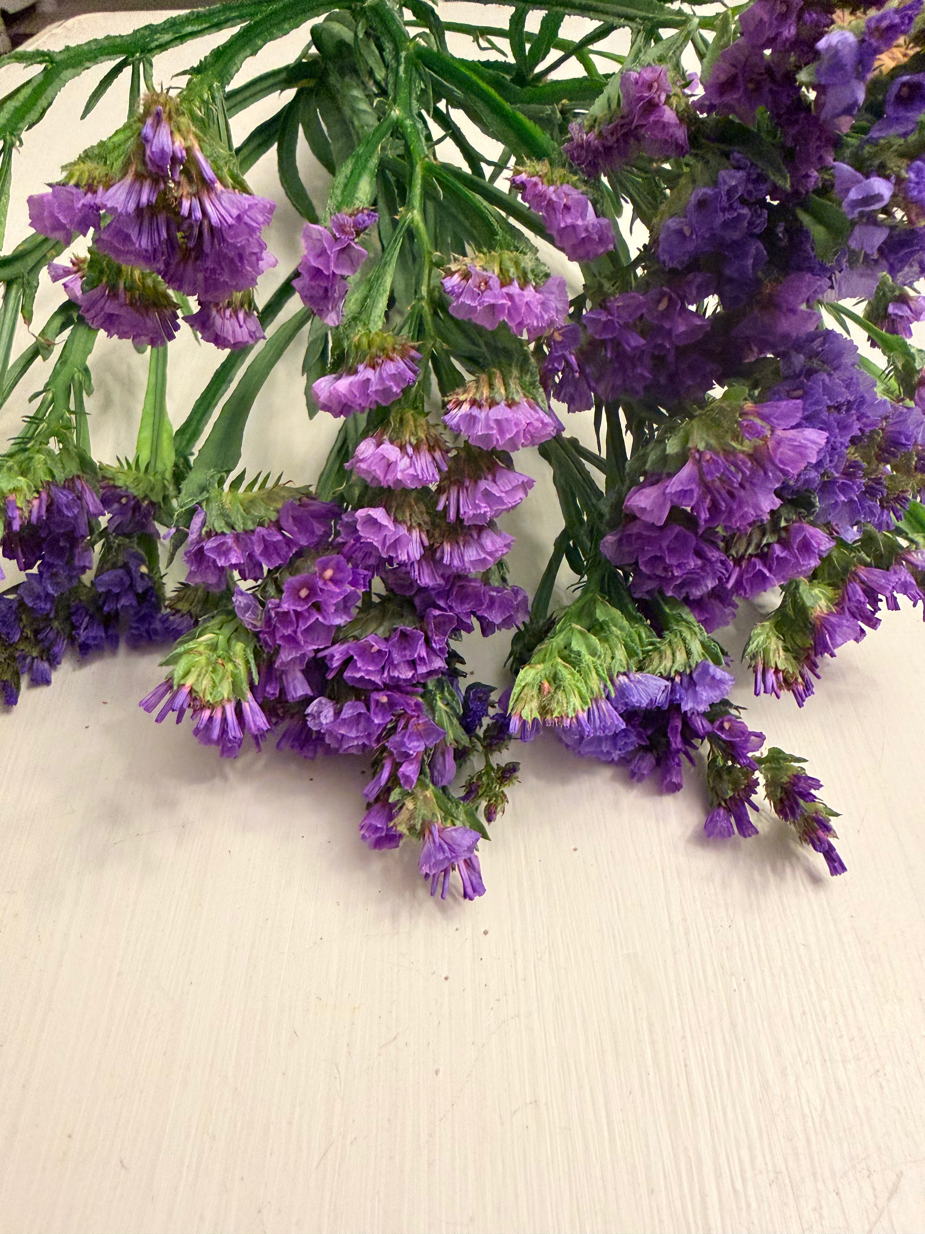 Statice - Bundle of 10 Stems - Blue