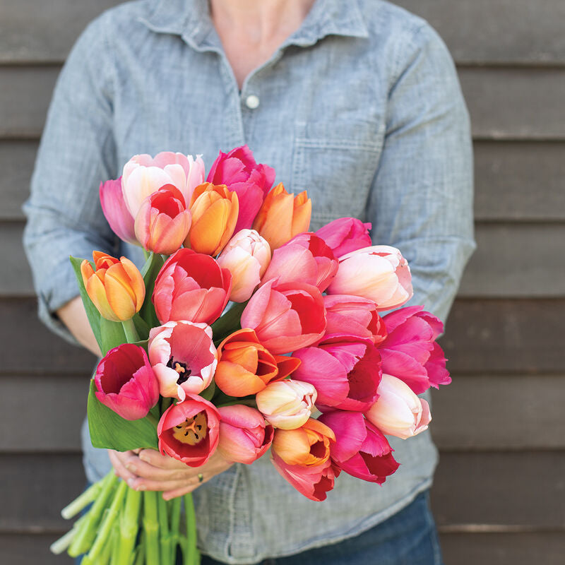 Tulip Bouquet Pre-Sale
