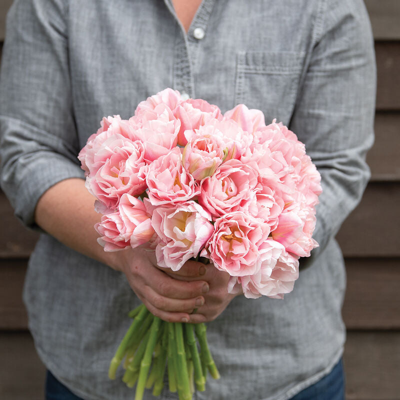 Tulip Bouquet Pre-Sale