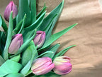 Tulip Bouquet