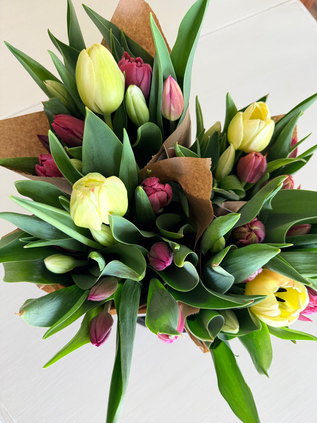 Tulip Bouquet