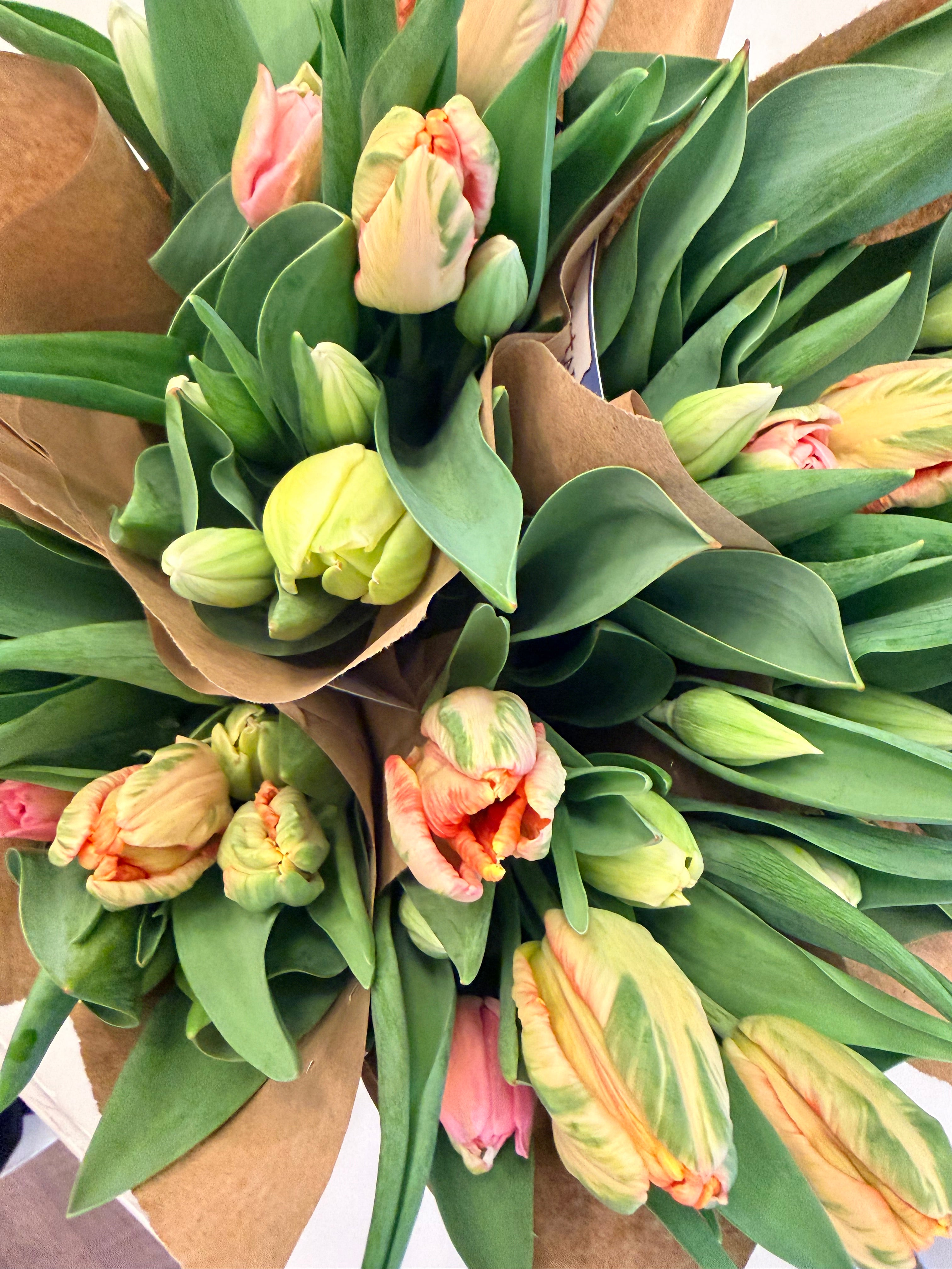 Tulip Bouquet