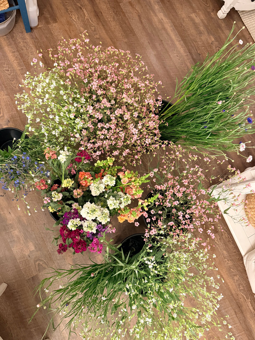 Special Event Buckets - 50 or 100 Stems