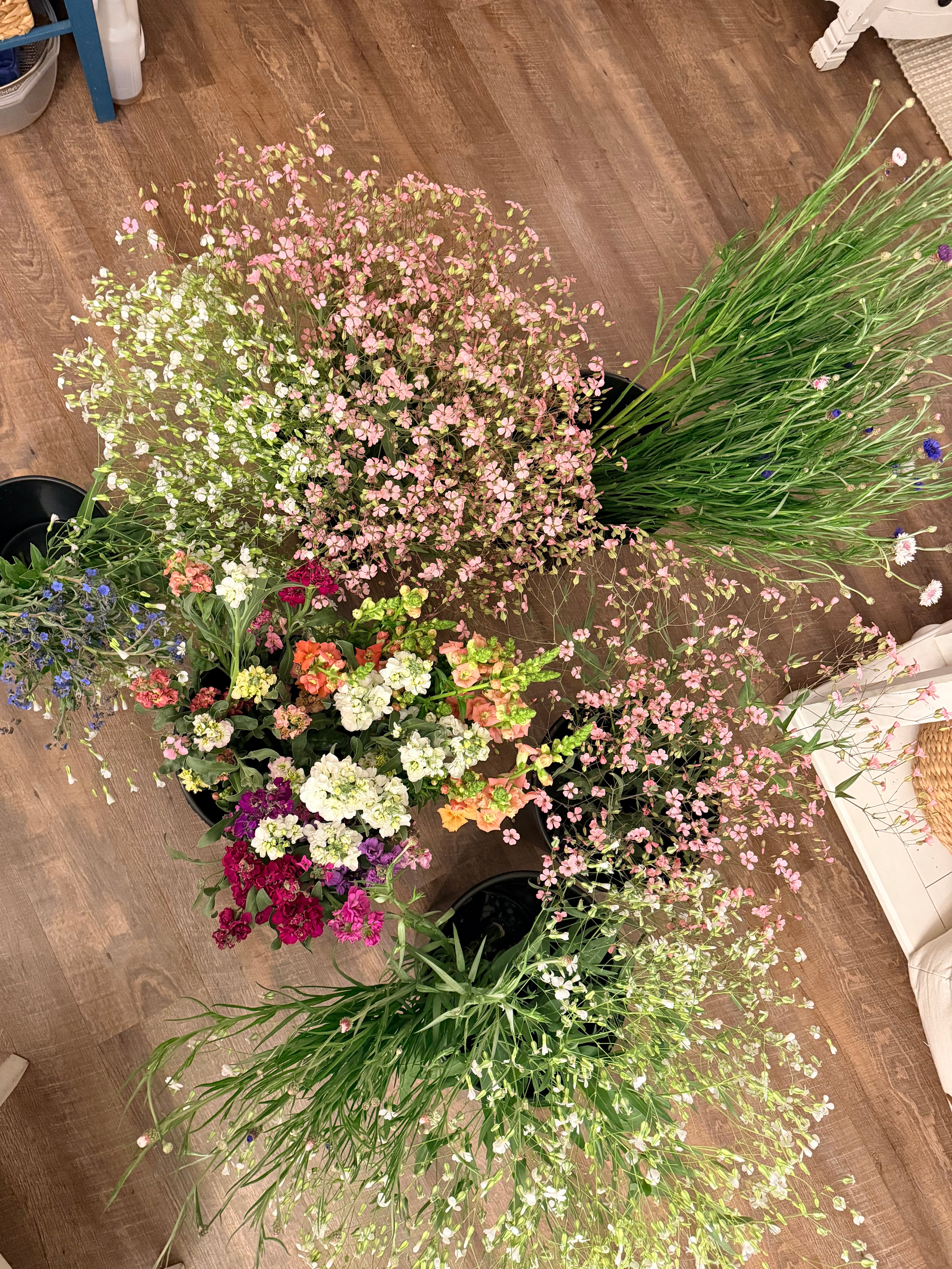 Special Event Buckets - 50 or 100 Stems