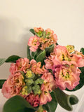Stock - Bundle of 5 Stems - Antique Rose
