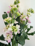 Stock - Bundle of 10 Stems - Antique Pink