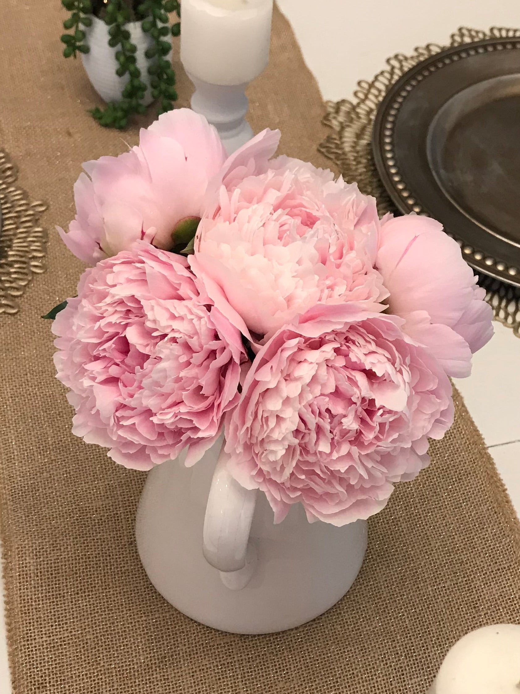 Peony - Sarah Bernhardt - 5 Stems